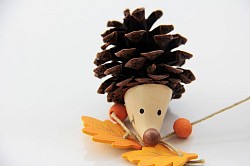 Hedgehog